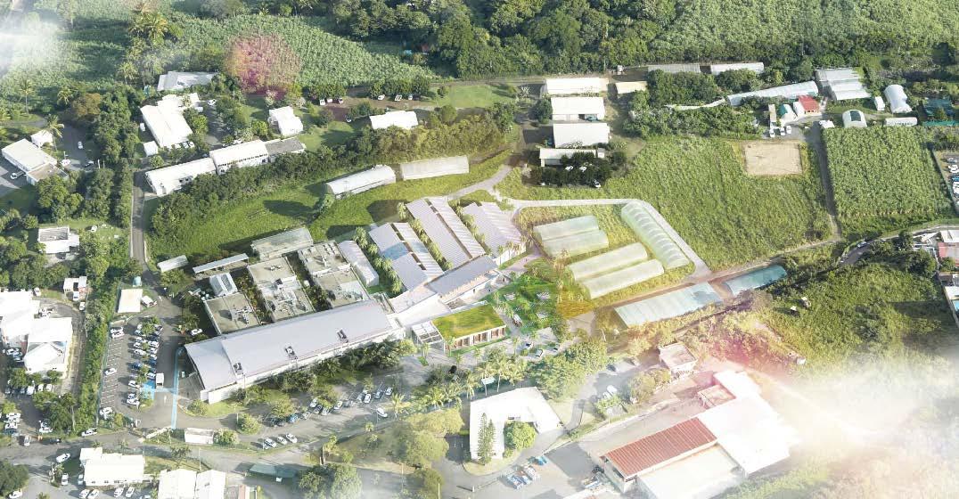 Intégration dans le site - Pôle de Protection des Plantes - CIRAD - Île de La Réunion