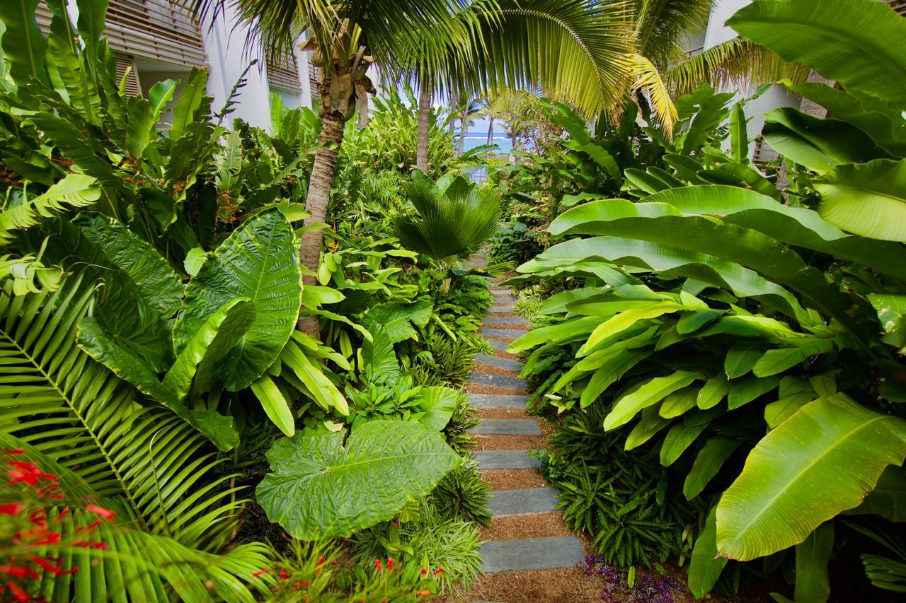 Résidence de tourisme de luxe - Île de La Réunion